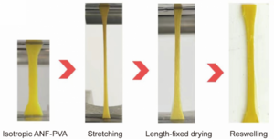 hydrogel fabrication