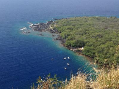 Dolphin Tourism in Hawaii
