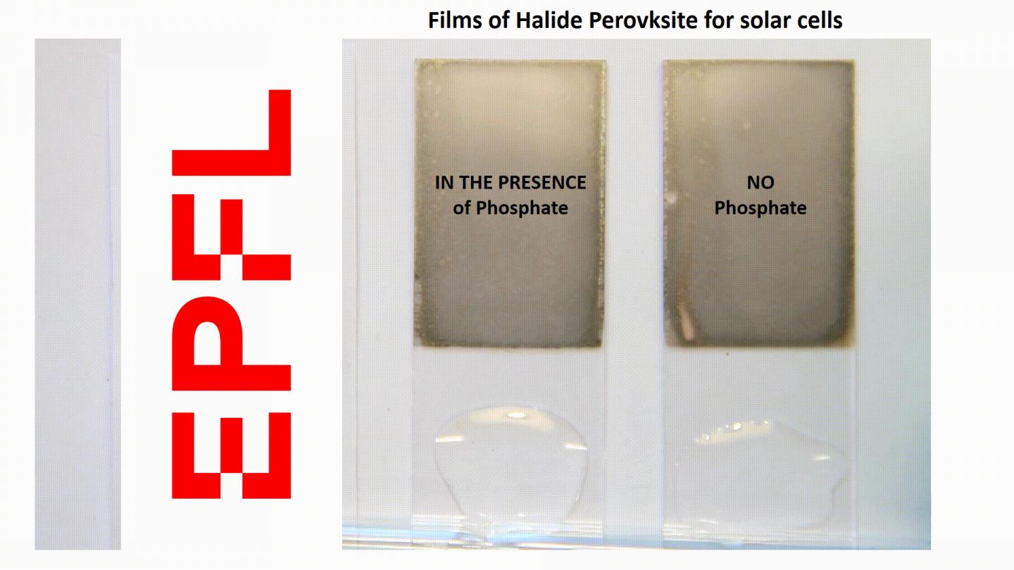 A transparent phosphate crystal immobilizes lead in perovskite solar cells