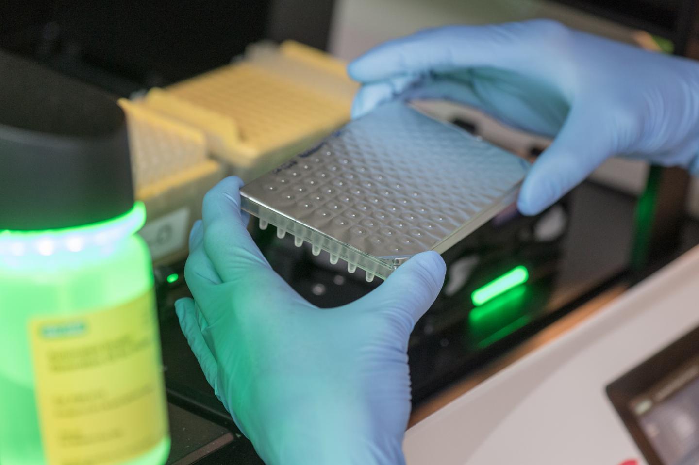 Test Detects RNA Molecules via Droplet Digital PCR