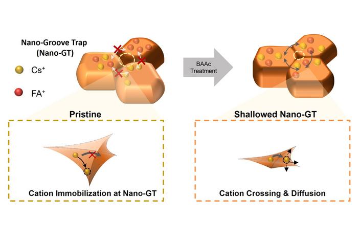 Schematic illustration