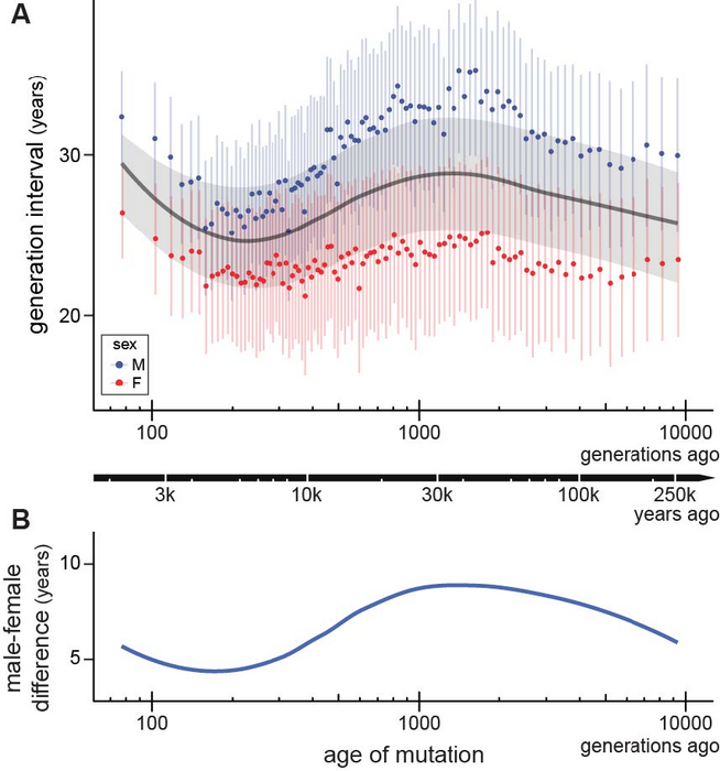 Age At Conception IMAGE EurekAlert Science News Releases