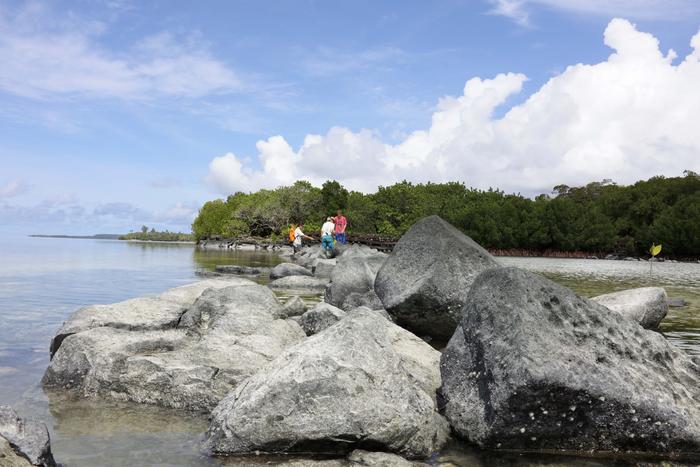 Seawall compound