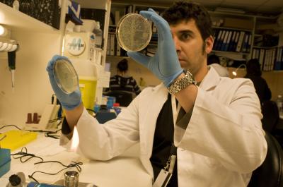 Alvaro Aytes, IDIBELL-Bellvitge Biomedical Research Institute