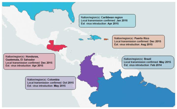 Time of Zika Entry