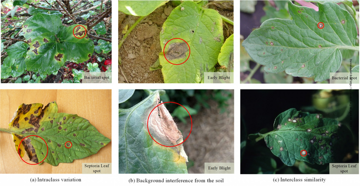 Detecting tomato leaf diseases with deep learning