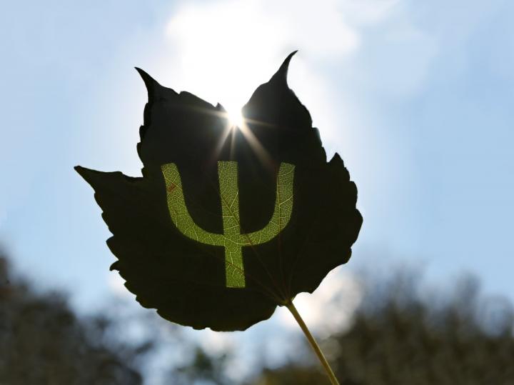 Certain bacteria deliberately use the rules of quantum mechanics to save their photosynthetic equipment from damage by oxygen