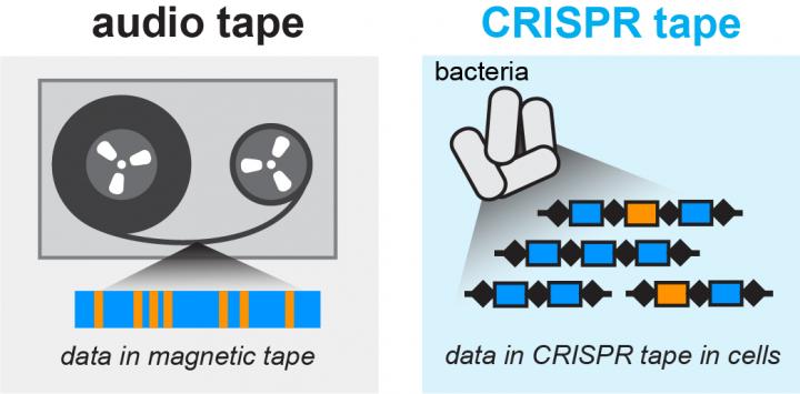 Comparison with Audio Tape