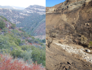 Matilija Falls Trail