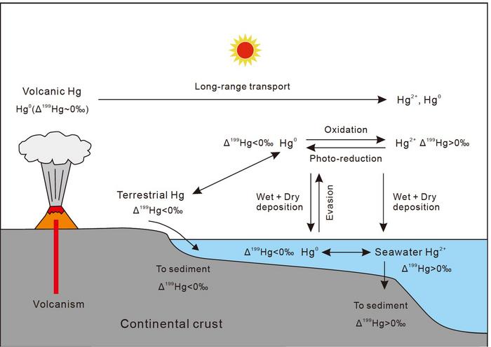 Conceptual model illustrating the Hg-MIF signals in terrestrial and marine realms at volcanic intervals.