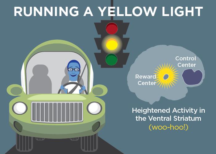 Your Teen's Brain Behind the Wheel