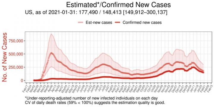 Severe undercounting of COVID-19 cases in U.S., other countries estimated via model