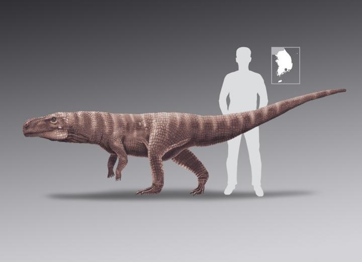 Reconstruction