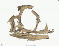 3D Digital Reconstruction of the Massospondylus Carinatus Dinosaur Embryo
