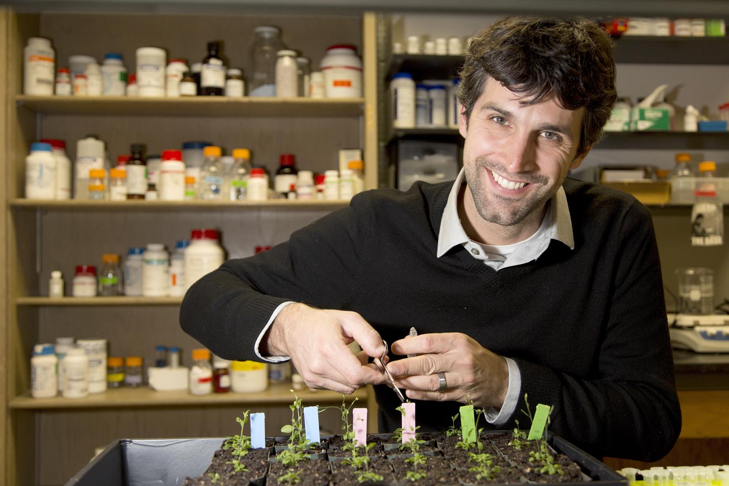 Dave Nelson, University of Georgia