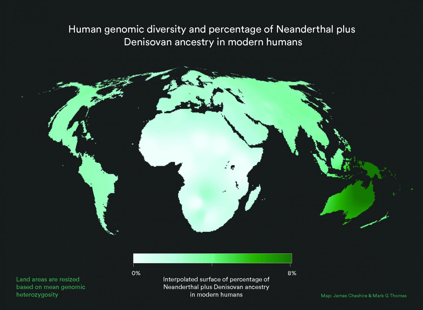 World Map: Resized Land Area Represents Modern Human Genetic Diversity