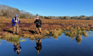 Collecting water quality parameter in the early post-restoration bog.