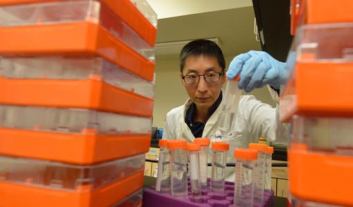 Dr. Shaoyong Su, Medical College of Georgia at Georgia Regents University