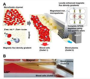 Schematic illustration of the microfluidic device for blood plasma separation