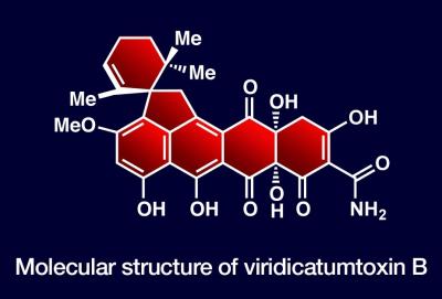 Viridicatumtoxin B