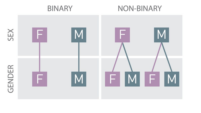 Modell zur binären (binary) und nicht-binären (non-binary) Geschlechterordnung (Sex: biologisches Geschlecht, Gender: soziales Geschlecht, F: female/feminine/weiblich, M: male/masculine/männlich)