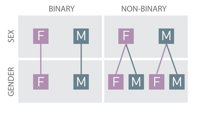 The elusive minority: Non-binary gender in pr