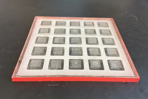 Vaccine Printer Mold