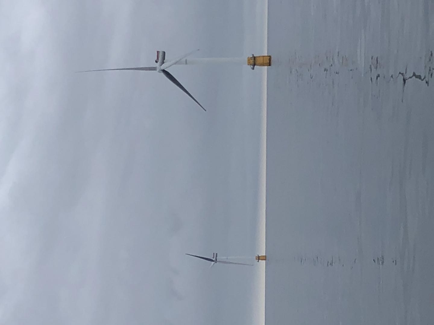 Offshore Wind Farm in Scotland