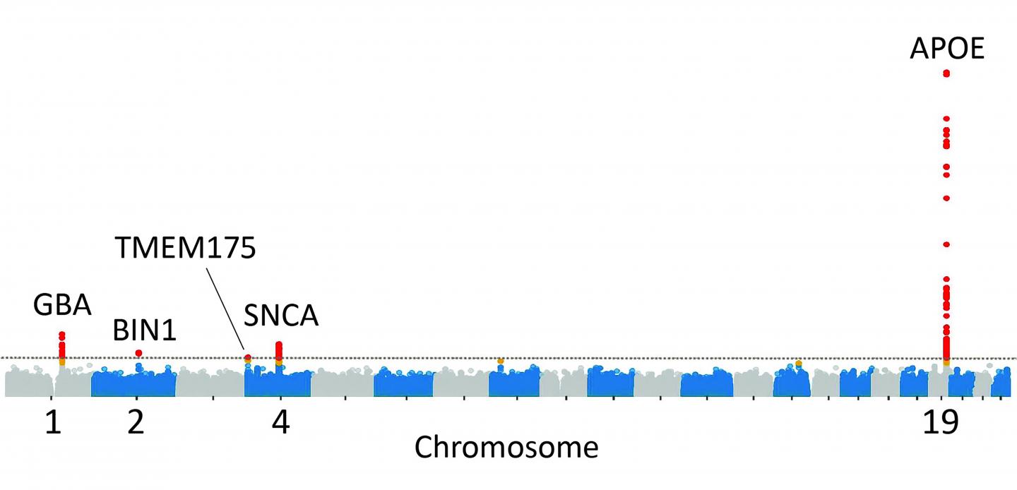 New insights into the genetic etiology of Alzheimer's disease and related  dementias