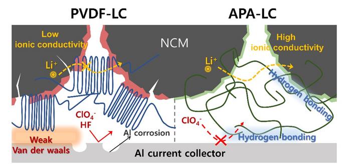 Schematic representation of PVDF-LC and APA-LC systems