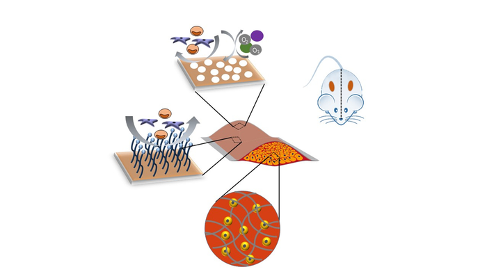 Pouch Diagram