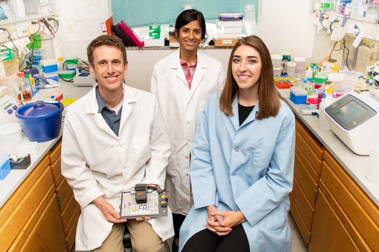 Researchers Developed a New Tool for Analyzing Mosquito Species