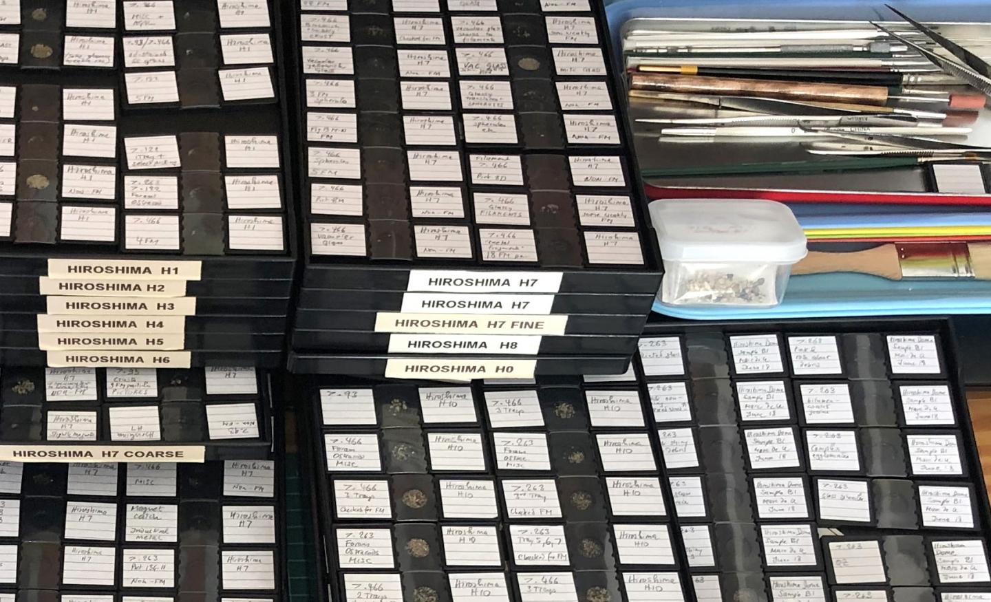 Sorted Particles from Japan's Motoujina Peninsula