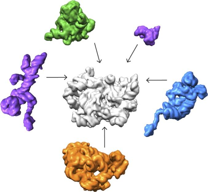 Multi-Institutional Collaboration Uncovers How Molecular Machines Assemble