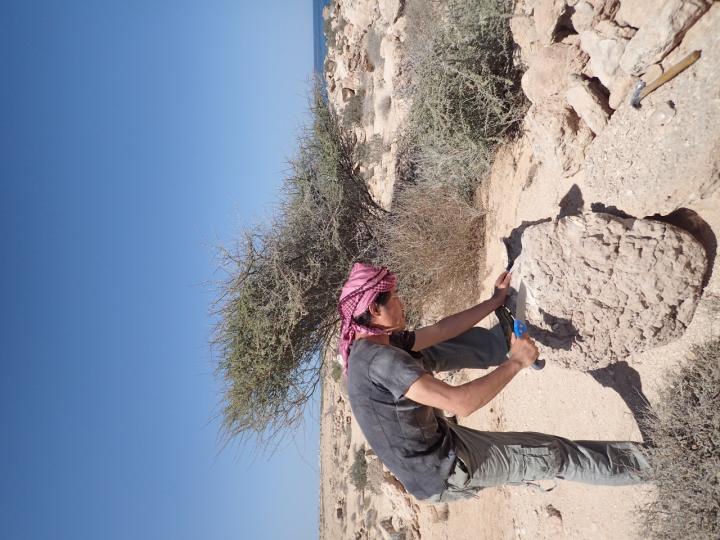 Examining Fossilized Coral