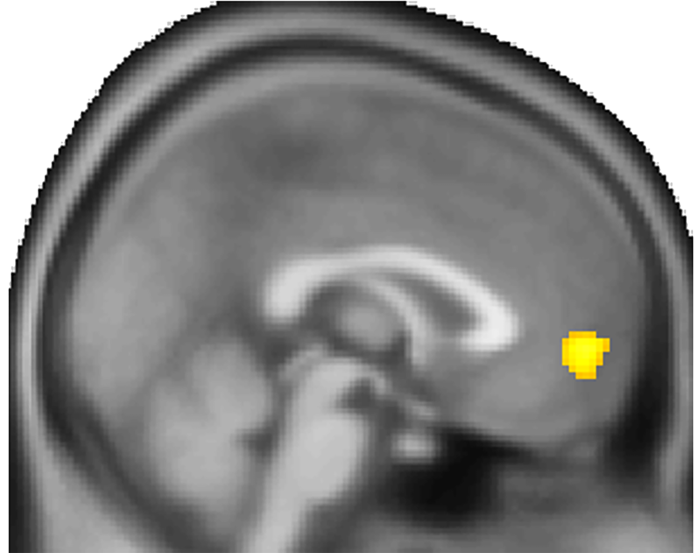 Mapping out how the brain tries to sway others