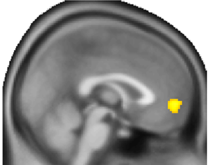 Mapping out how the brain tries to sway others