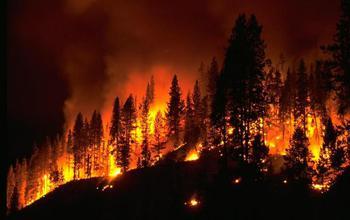 Meteorologists Fight Fires