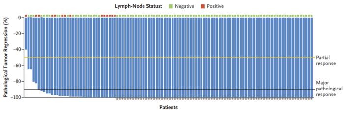 Pathological Responses among Patients in the Efficacy Analysis