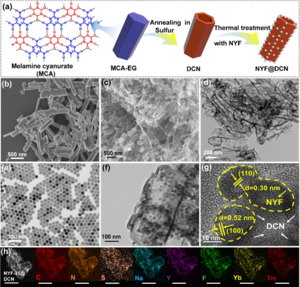 Figure 1. Fabrication and structure characterization of NYF@DCN.