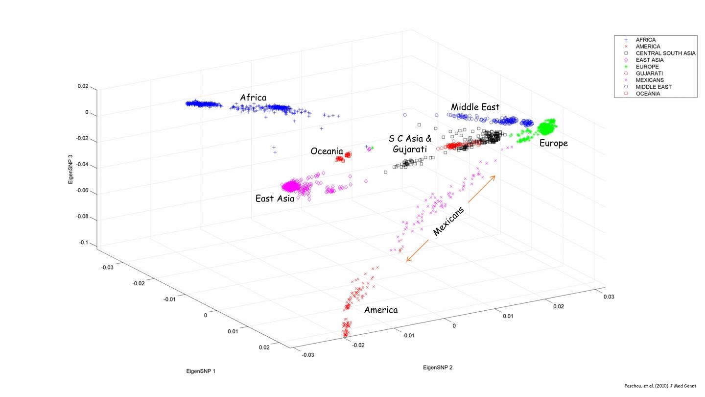 Genetic Data Plotted with TeraPCA