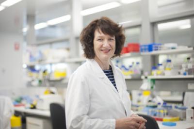 Joan Heath, Walter and Eliza Hall Institute