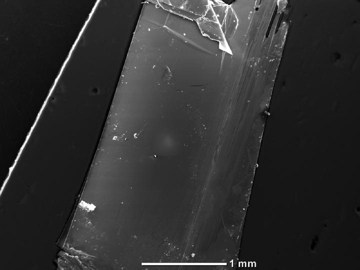 Single Crystal of Black Arsenic Phosphorus