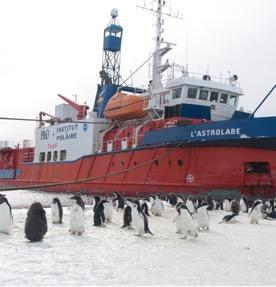 Ben-Gurion U. Researchers Record New Data on Antarctica's Tectonic Plates