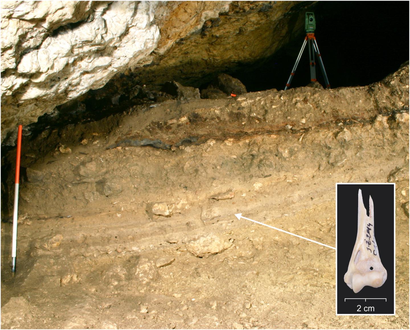 The Neolithic Cultural Level inside Zarska Cave, Where One of the Earliest Cat Remains of the near E