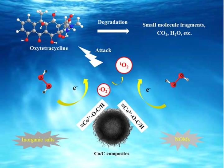 Singlet Oxygen Selectively Degrades Oxytetracycline in Fenton-like Oxidation