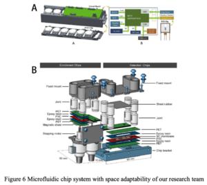 Microfluidic chip system with space adaptability of our research team. (A) The picture of nucleic acid amplification chip payload on ISS. (B) Schematic diagram of on-line protein enrichment and detection chip. LED, light-emitting diode.