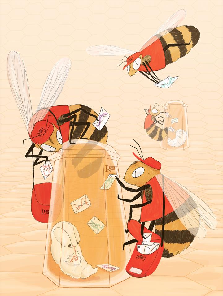 RNA Postie Bees