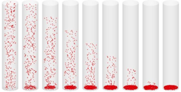 Temporal changes in the sedimentation of 75-micrometer sand particles using the MPS-CAE method