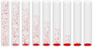 Temporal changes in the sedimentation of 75-micrometer sand particles using the MPS-CAE method